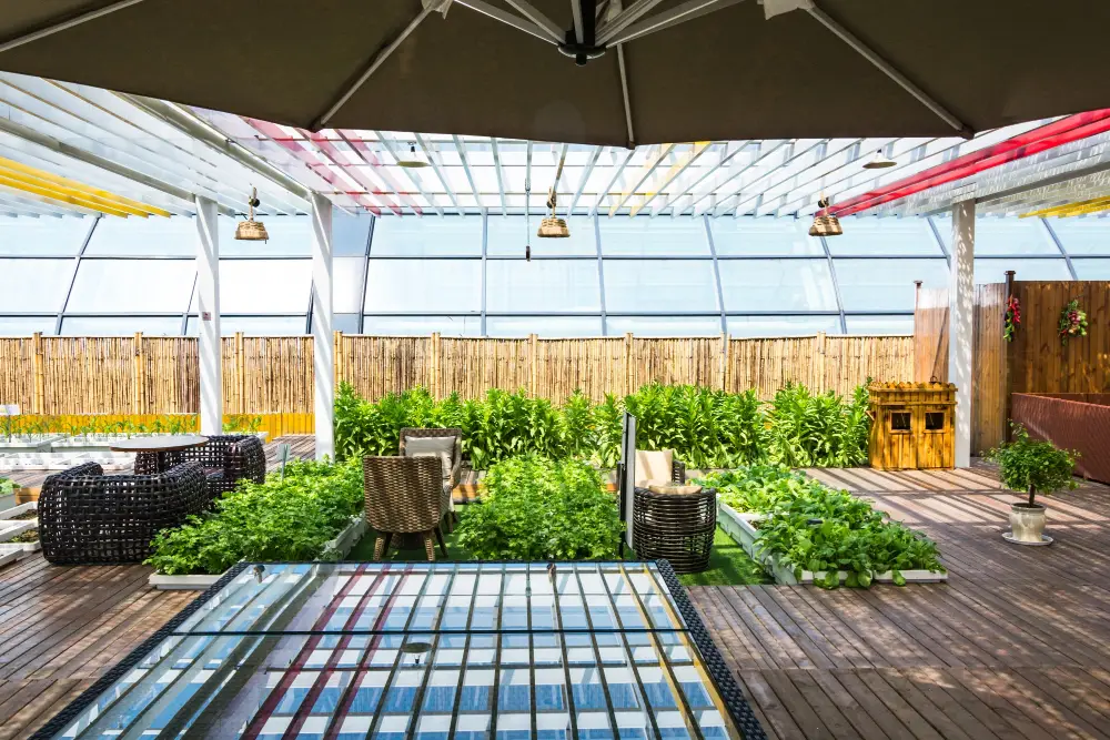 Top Deck Design Ideas for Illinois Backyards